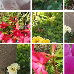 Meet your Posher, Dd's